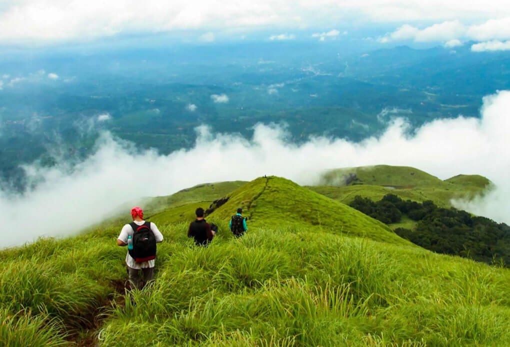  Tourism Packages
