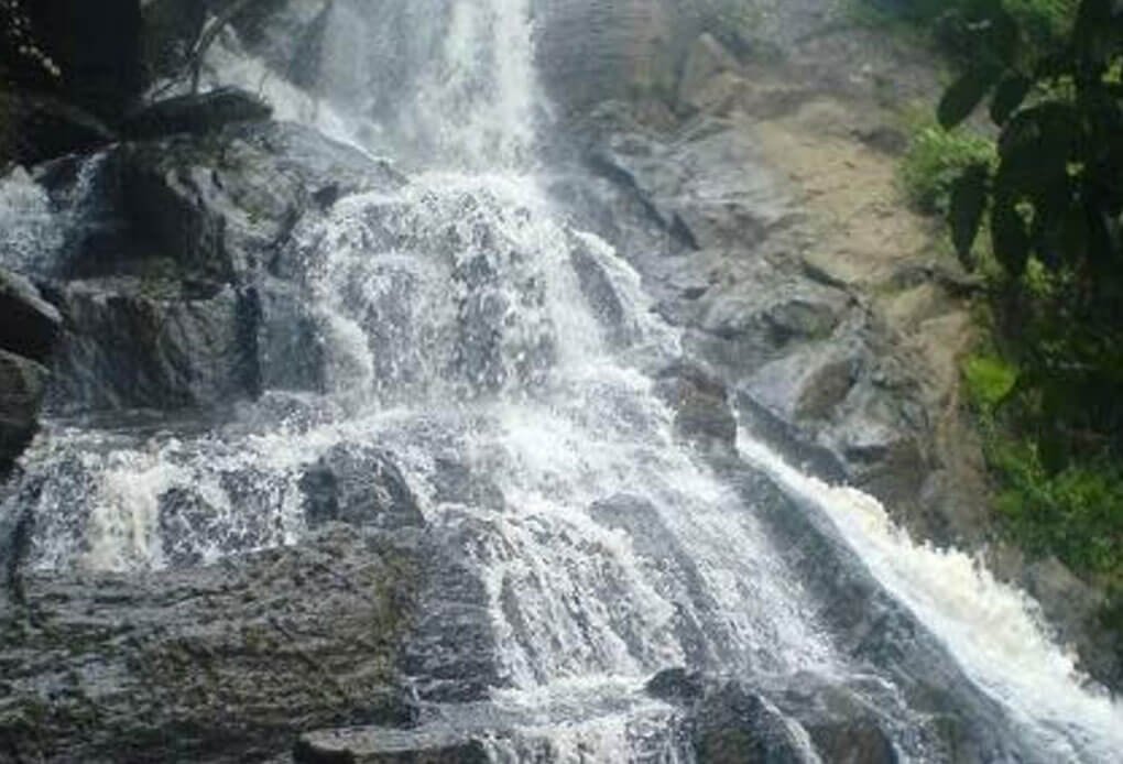 Tourism Packages
