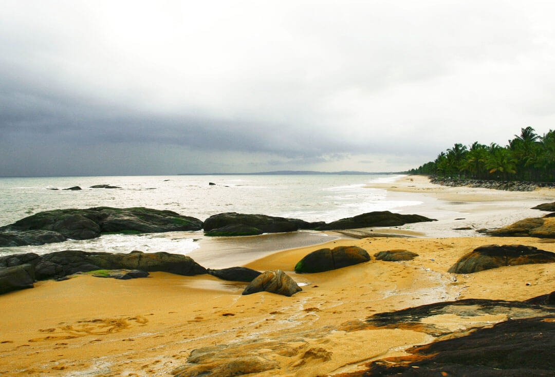  Tourism Packages