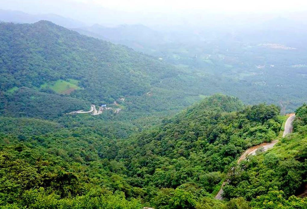  Tourism Packages
