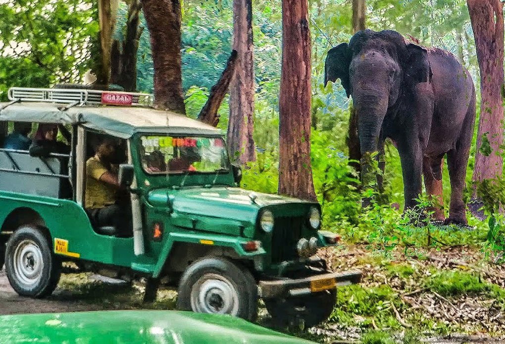  Tourism Packages