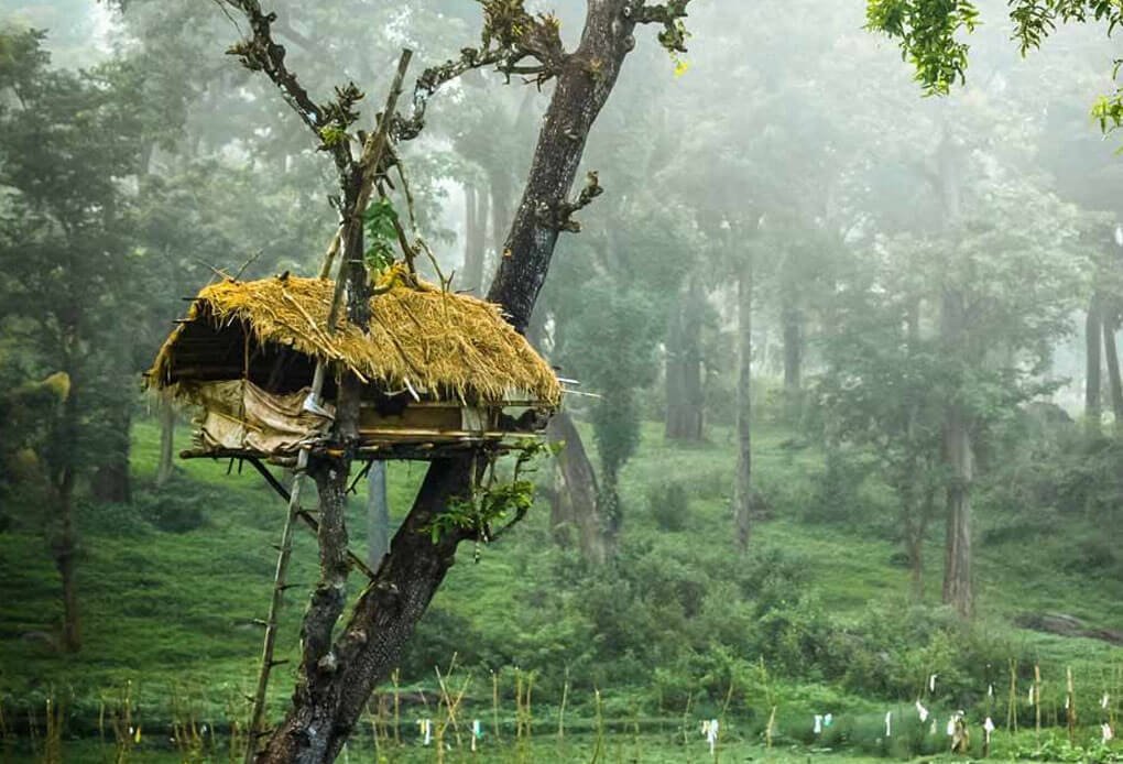  Tourism Packages