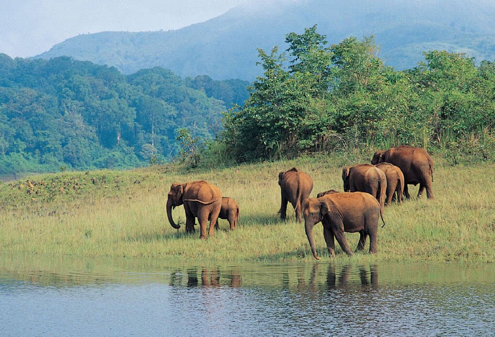  Tourism Packages
