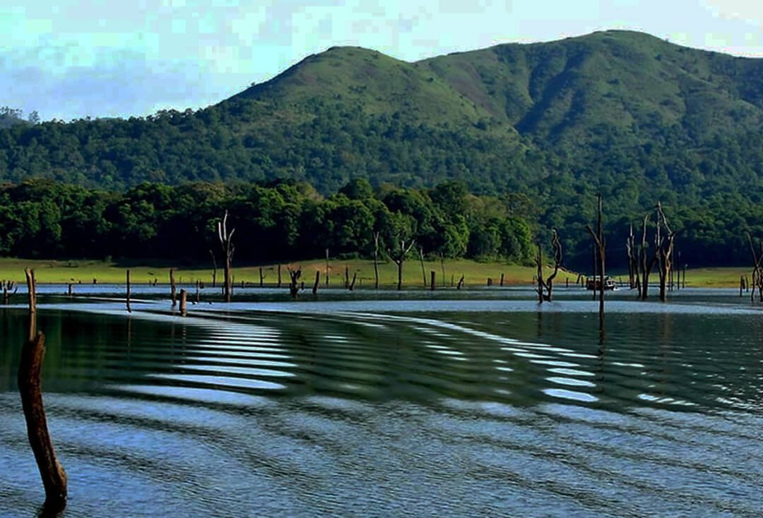 thekkady