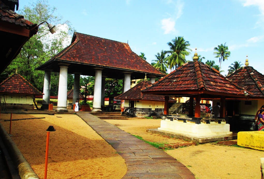  Tourism Packages