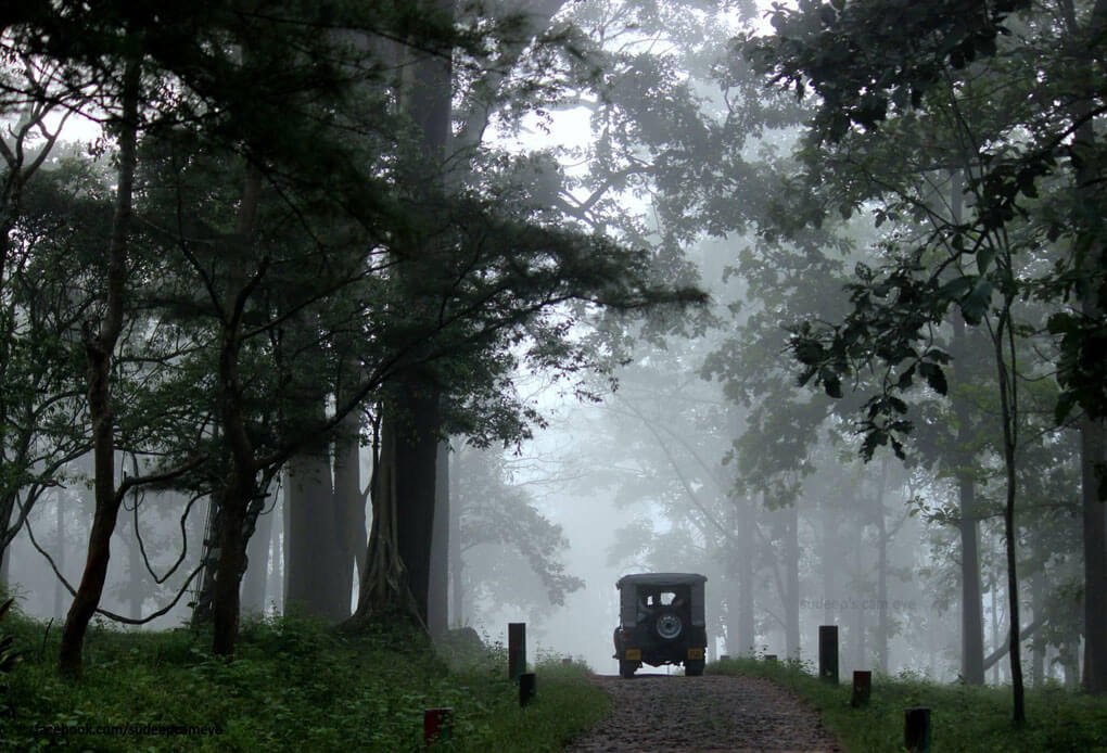  Tourism Packages