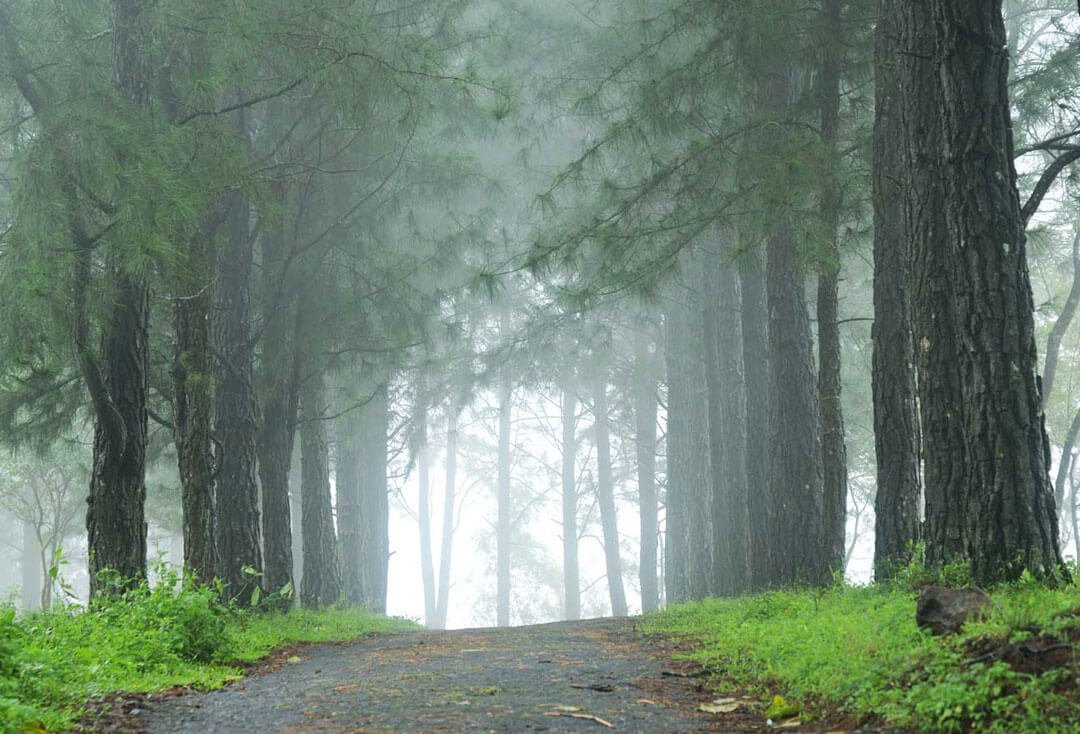 Vagamon