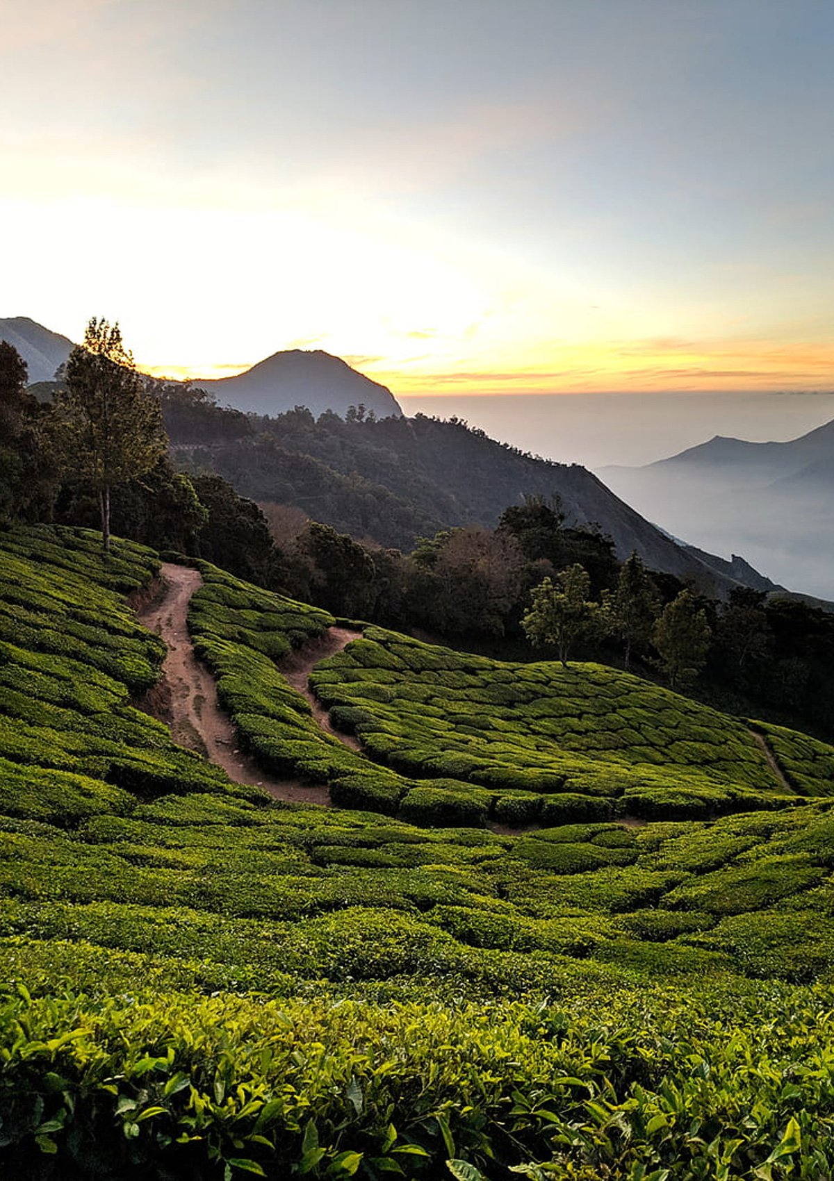 Munnar