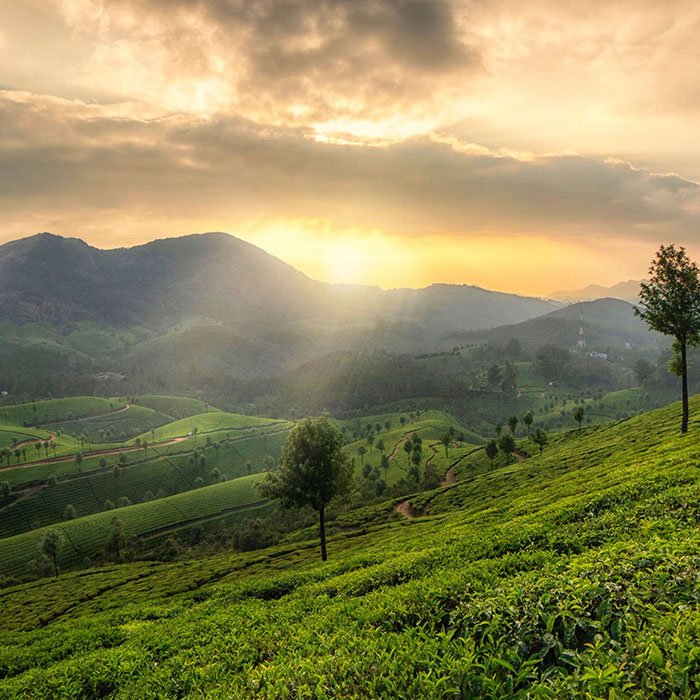 Munnar