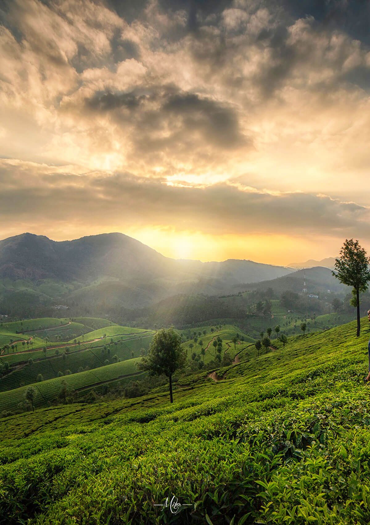Munnar